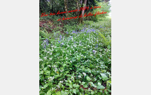 Une bonne année 2026 à tous.